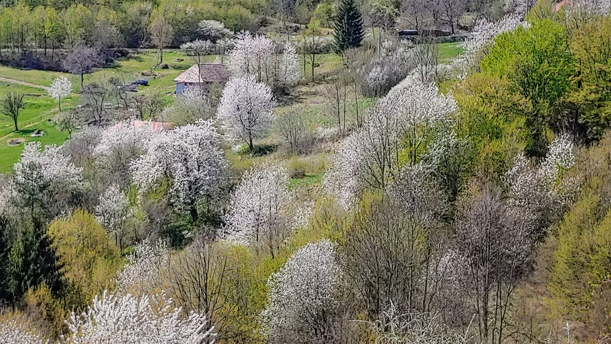 Hriňovske lazy jarná