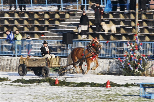 Turčianska podkova 2010