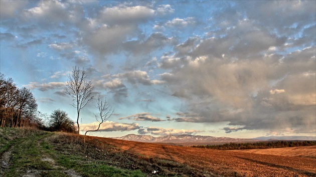 Strážovské vrchy