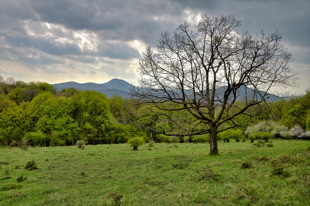 Veľké Paseky