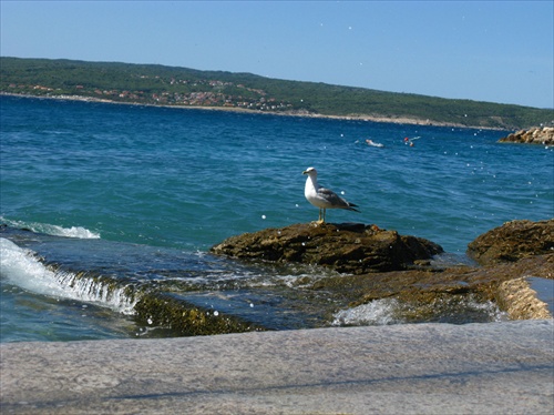 čajočka na plaži :-)