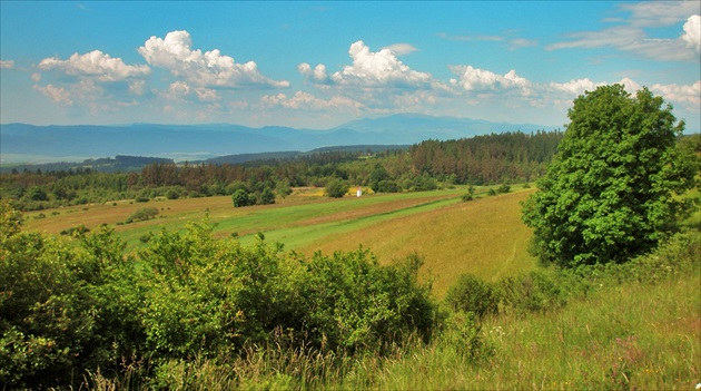 Kráľová hoľa spod Hradiska