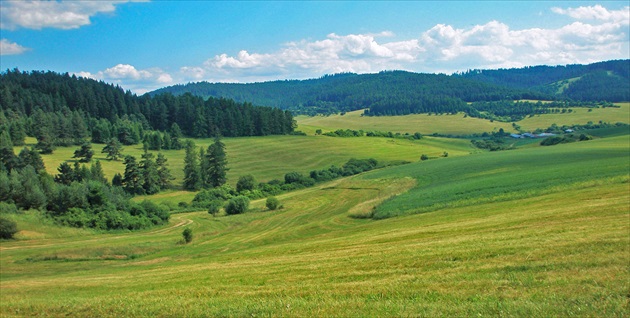 Letná dolinka