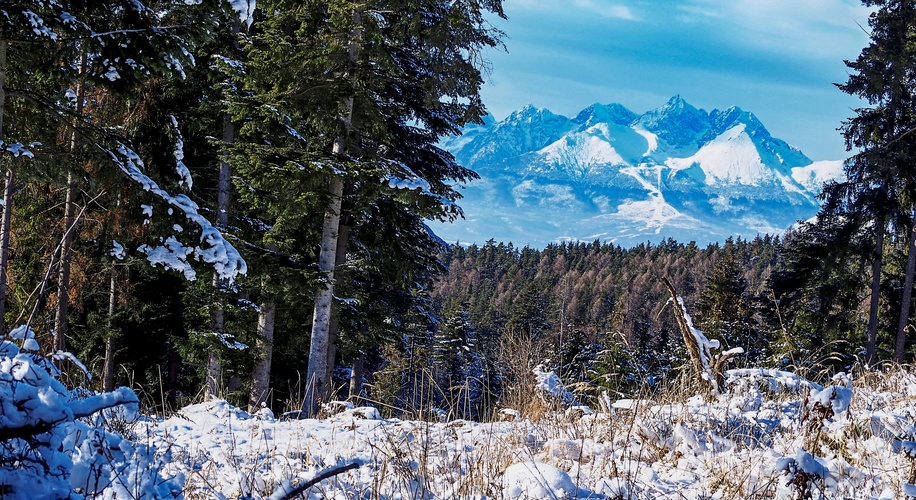 Tatry z okolitých lesov