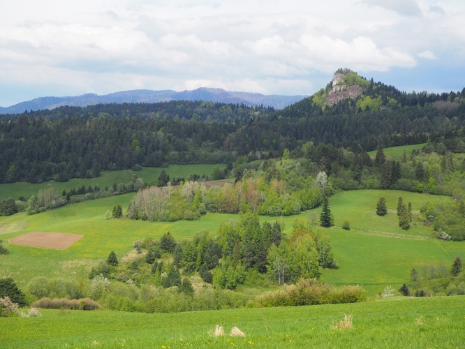 Pieninská jar II