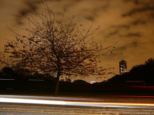 Hyde park at night