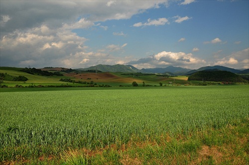 Nad obcou Dražkovce