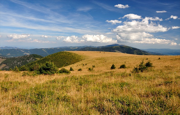 Na Veľkom boku