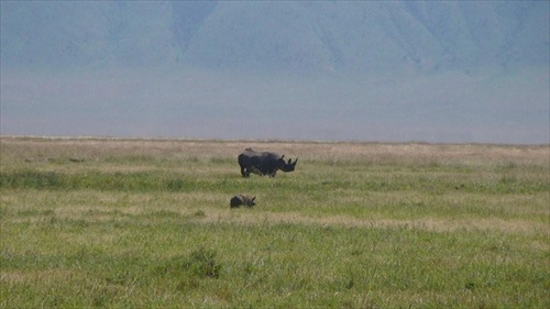 Afrika Tanzania krater Ngorongoro