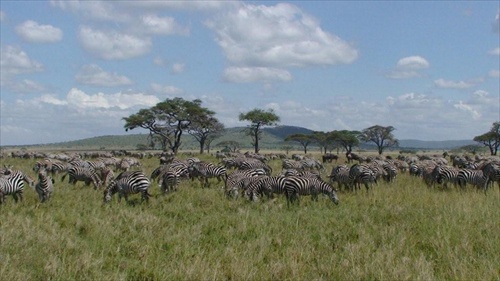 Afrika Tanzania krater Ngorongoro