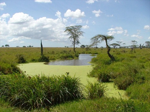 Afrika Tanzania krater Ngorongoro