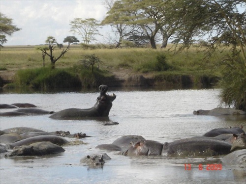 Afrika Tanzania