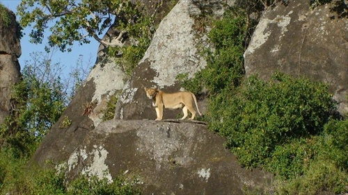 Afrika Tanzania