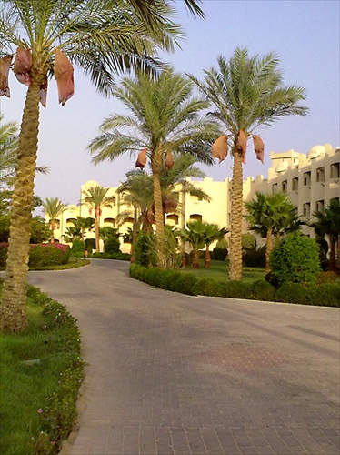 Hurgada1