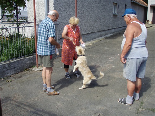 Po nedeľnom obede