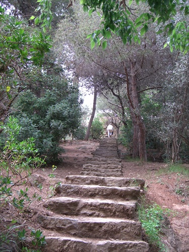 Park Antónia Gaudího v Barcelone