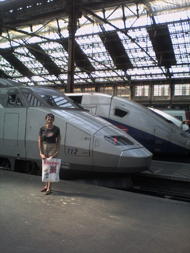 TGV vlaková stanica v Paríži