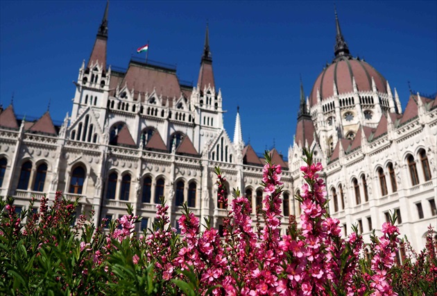 Rozkvitnutý parlament