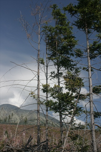 cestou na Velicke pleso