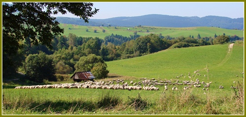 Dobrá pastva