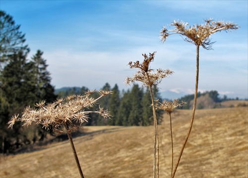 Možno sa niekomu prichytia