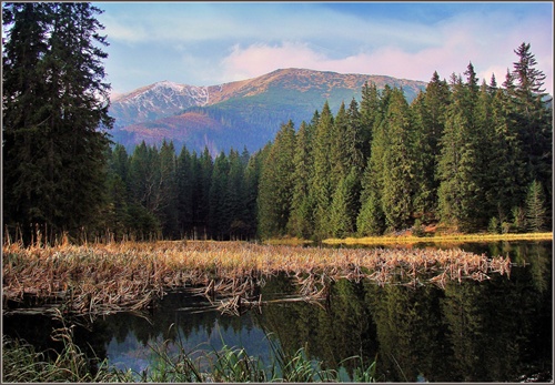 Vrbické pleso