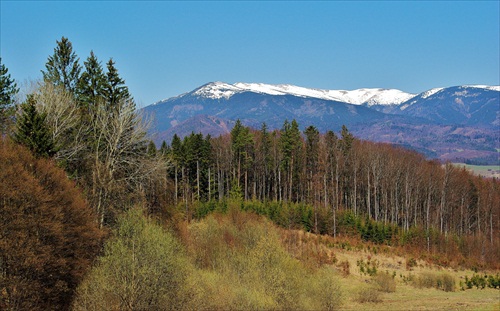 Čoskoro bude možná hrebeňovka