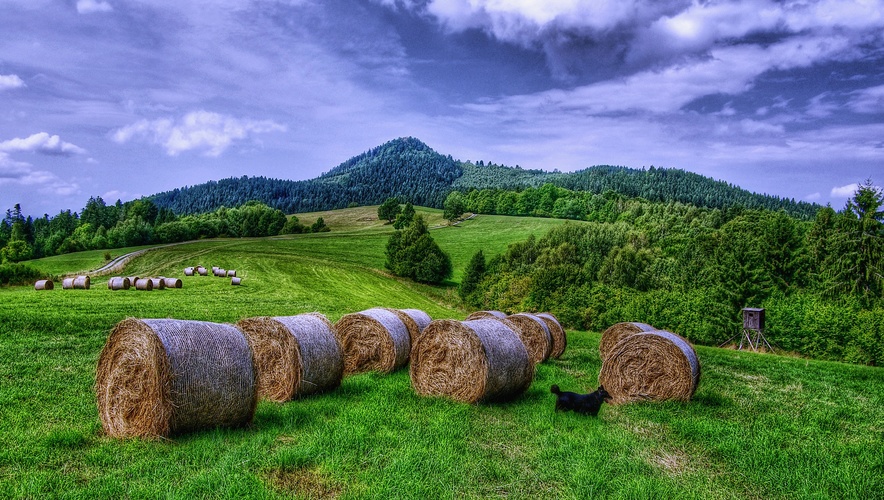 Pod Vysokou - Lôze