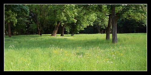 víkendová