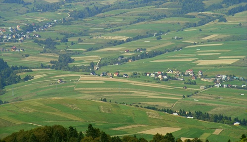 panoráma pod korunami