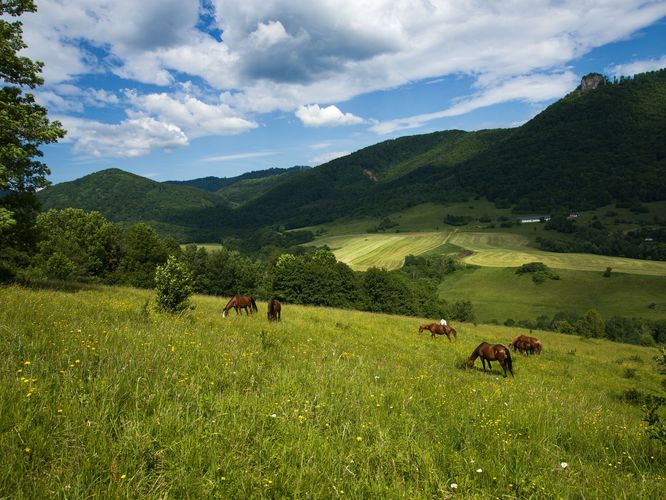 na Rejkovských svahoch