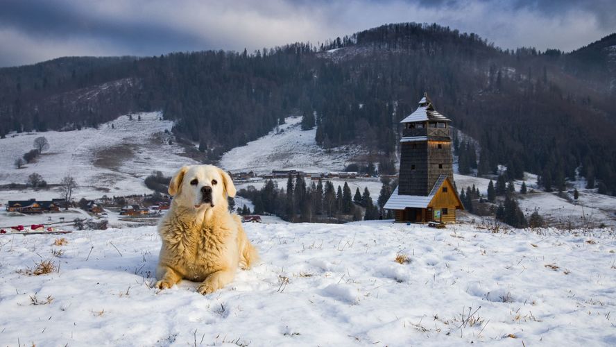 strážca výhliadkovej veži na Zbojskách