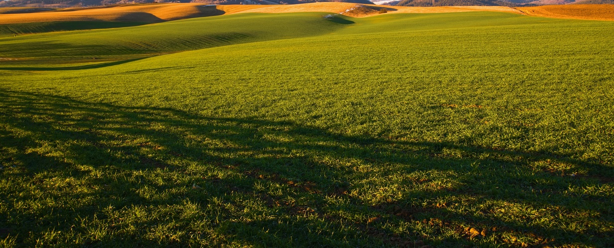 zvlnená panoráma z Krtičnej