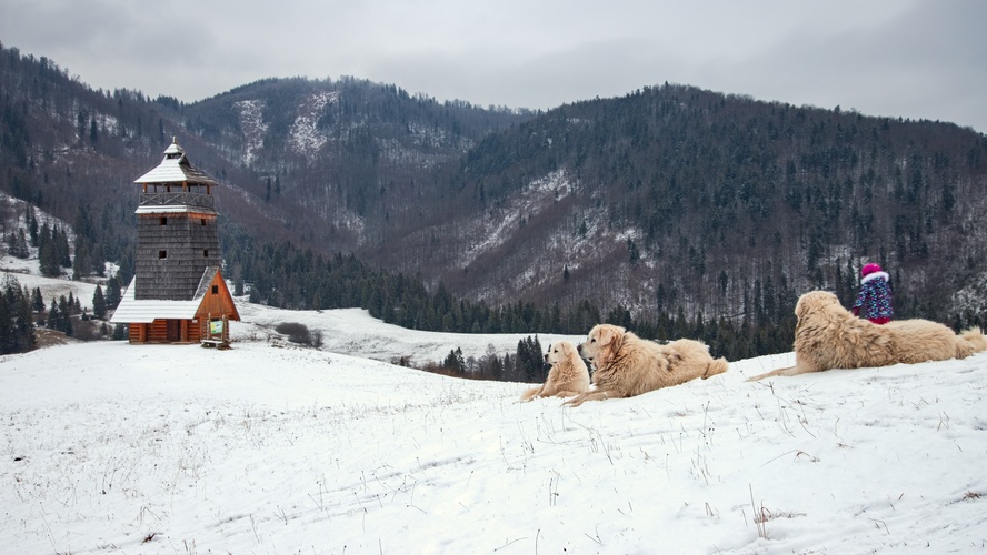 Rozhľadňa Zbojská, Muránska planina