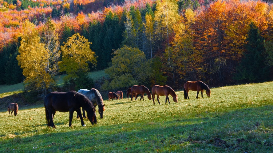 Muránska planina na jeseň