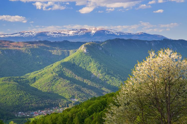 rozkvitnutá Muránska planina