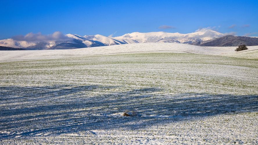 zasnežená panoráma Nízkych Tatier