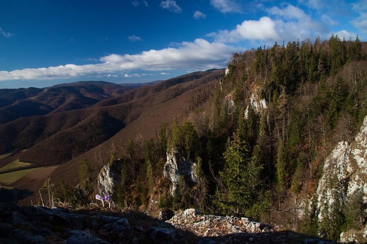 skalné bralá Poludnice, Muránska planina