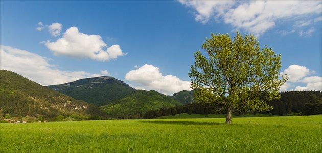 Kraj pod Tlstou a Ostrou