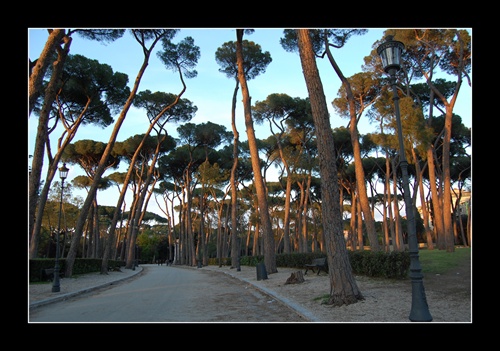 Villa Borghese