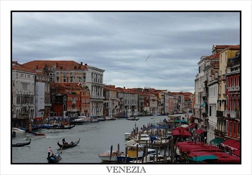 Venezia