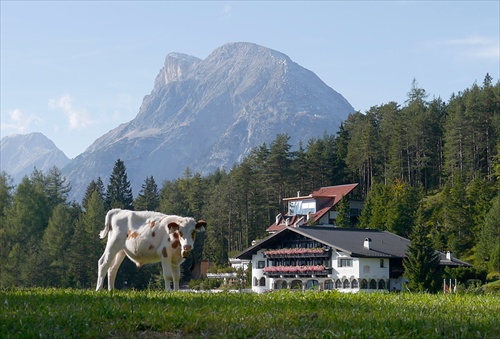 Tyrol