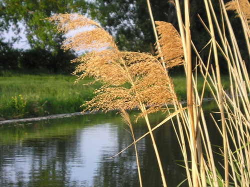 vietor sa s nami na jesen zahra