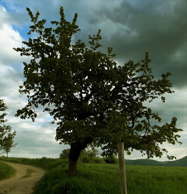 Baková jama.