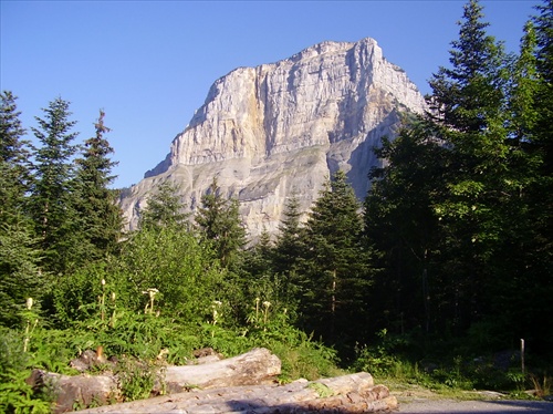 Chartreuse, departement Isere, region Rhone Alps