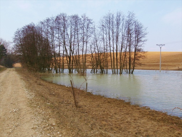 polder Svacerinský járok-Turá Lúka