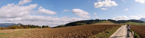 Panorama