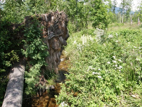 V Tatranskej Lomnici