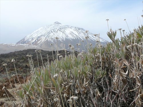 Tenerife