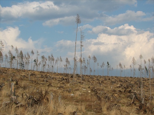 Naozaj Tatry ?